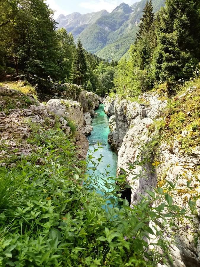 Beti Blu, Kaninska Vas Бовец Экстерьер фото